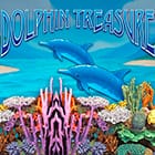 Dolphin Treasure game icon